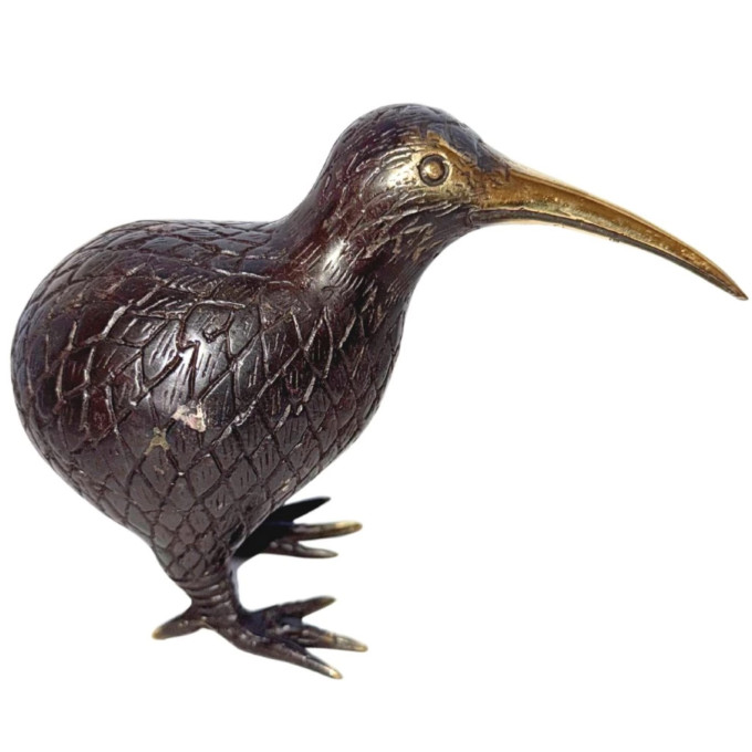 Pták Kiwi malý