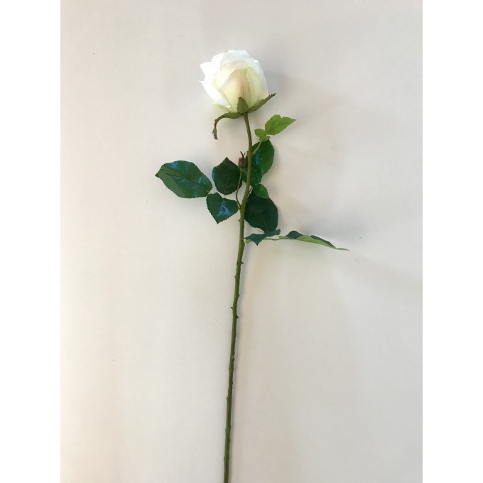 Květ bílá růže -50%