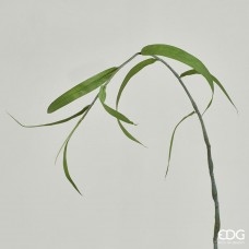 Větev bambusová -50%